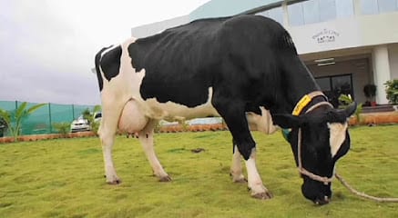 Parag Milk Foods Pvt. Ltd