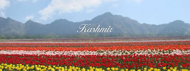 Pashankar Tours