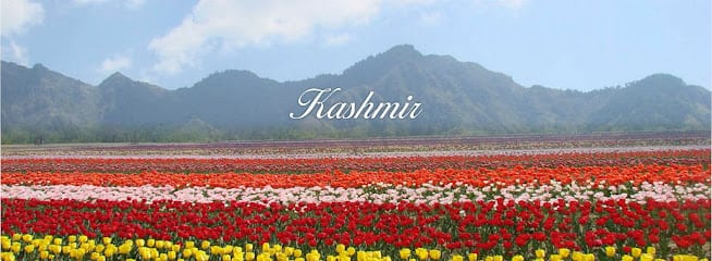 Pashankar Tours