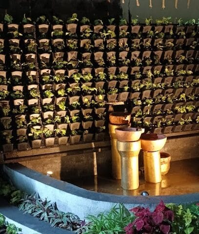 Plantika Nursery